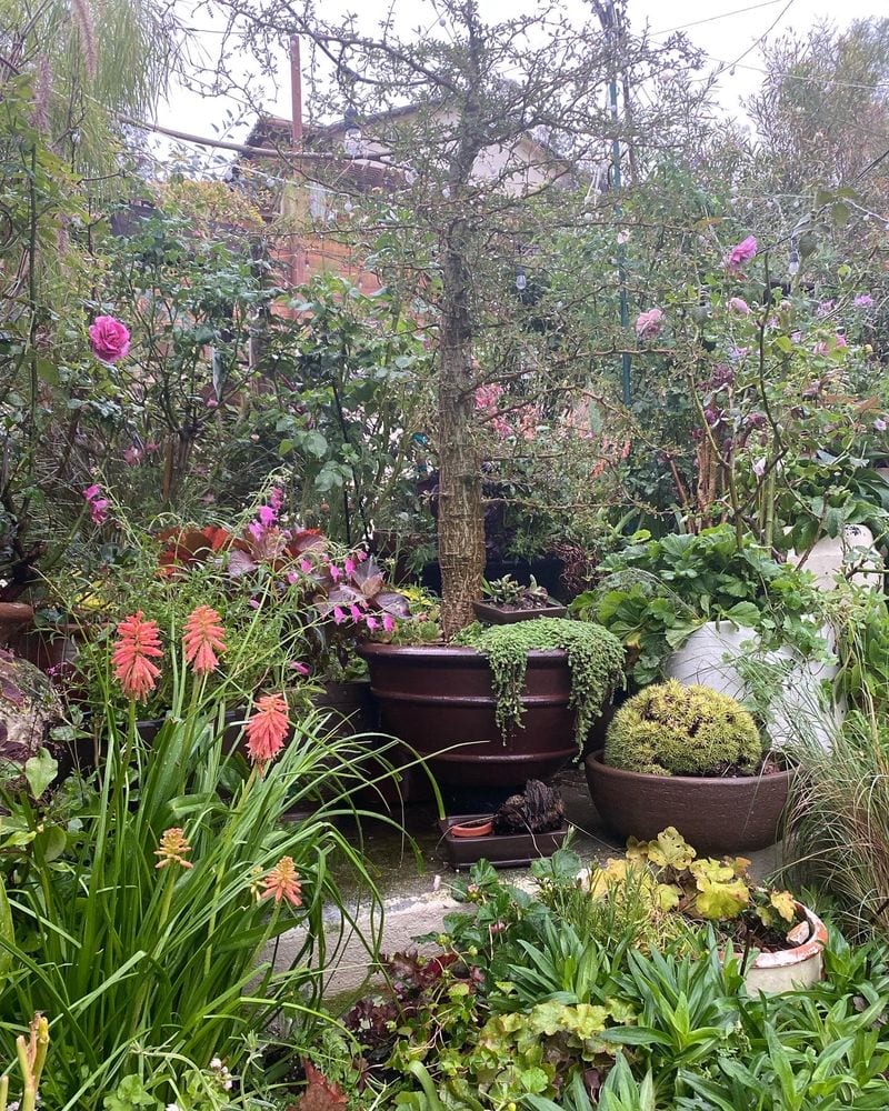 Composed garden planting